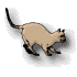 [Feline Menace]