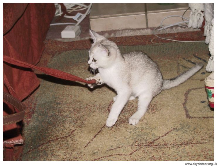 Liessa being nervous and diffident soon after her arrival