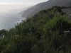 Big Sur