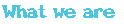 What we are